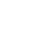 Professional SEO program